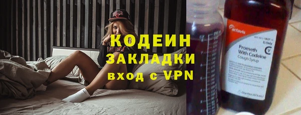 прущие грибы Балабаново