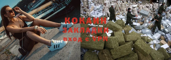 прущие грибы Балабаново