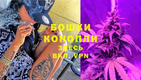 прущие грибы Балабаново