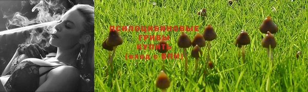 герыч Балахна