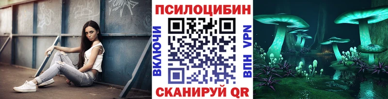 OMG онион  Любим  Псилоцибиновые грибы GOLDEN TEACHER 